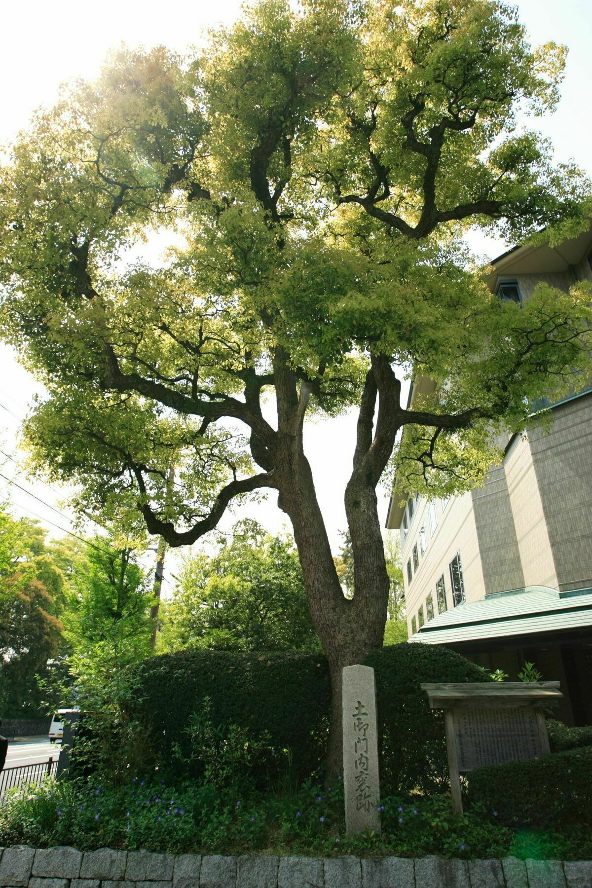 Kyoto Garden Palace Dış mekan fotoğraf